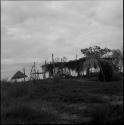 Village, housing, house living: Yaruro house, wooden structures with thatched roof