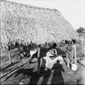 Village, housing, house living: thatched building with woman