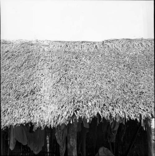 Village, housing, house living: close view of thatched roof