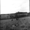 Work and food prep: Venezuela landscape with people carrying brush