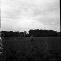 Work and food prep: Venezuela landscape with two Yaruro people