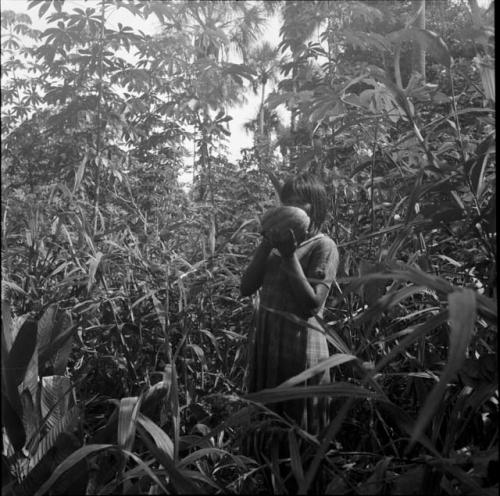 Jungle and gardens: forest view with person holding fruit