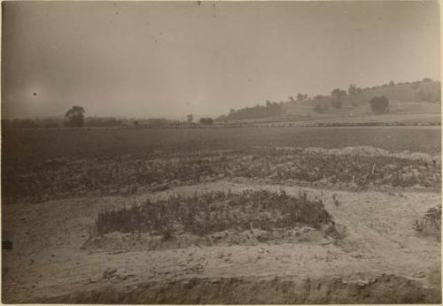 Turner Group, view from top of big mound toward river