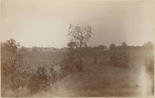 On the Bank of Hopeton Works