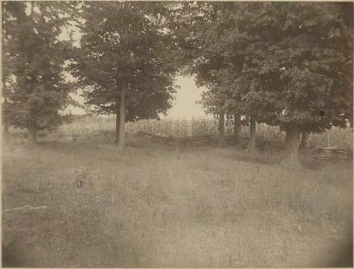 Stubbs Earthwork, view of embankment from west