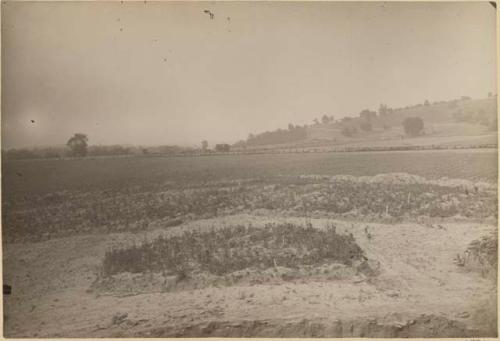 Turner Group, view from big mound toward river