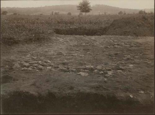 Turner Group, northern embankment, hearth, surface of ash bed 1