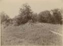 Bullock Mound Number Three