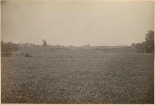 Turner Group, view of graded way, southern ditch, and mound