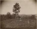 Hill With Trees, Circular Embankment