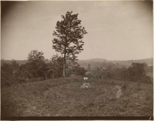 Hill With Trees, Circular Embankment