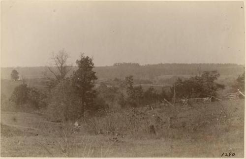 Landscape With Trees And Fence