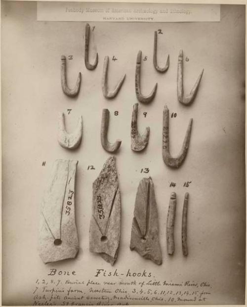 Bone Fish Hooks Taken From Burial Place Near Mouth of Little Miami River, Ohio