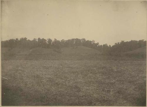 Hayner Mound II, view from the south with upland hills in background