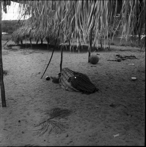 Activities and rest: Yaruro sleeping outdoors under thatched roof