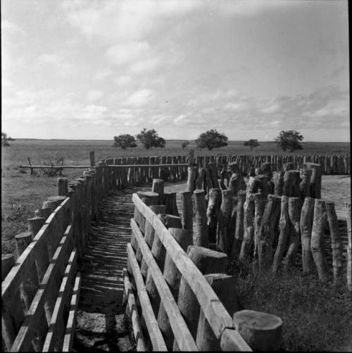 Ranches: walking path and fencing