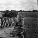 Ranches: walk way and fencing