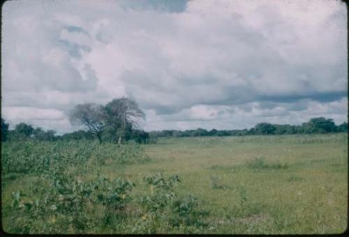 Venezuela landscape
