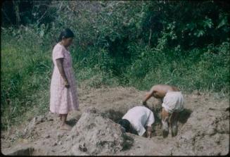 Woman in a pink dress with two men digging a hole
