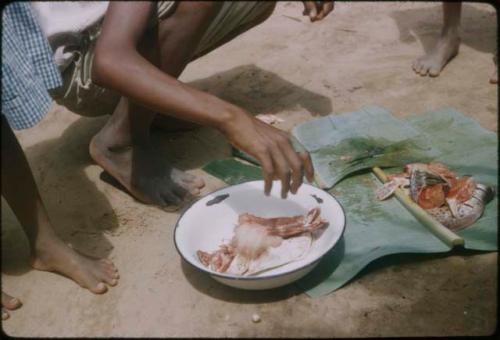 People preparing fish