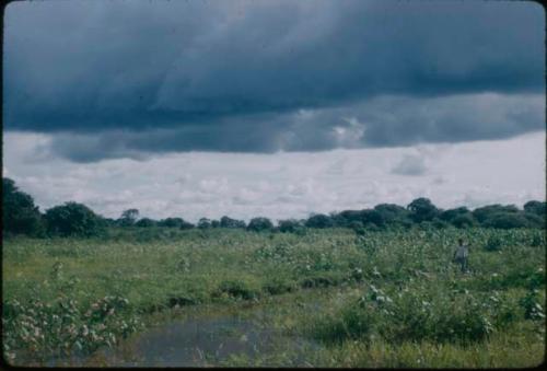 Venezuela landscape