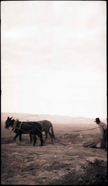 Everett Harris driving the mules, and the slip