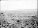 Area around Abo, looking SE from ruin