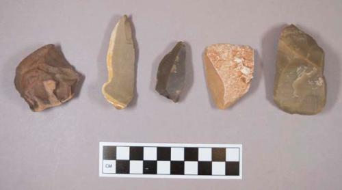 Flint flakes; three with cortex; variously-colored stone