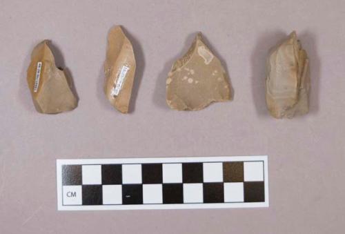 Pointed flint flakes; tan and gray colored stone