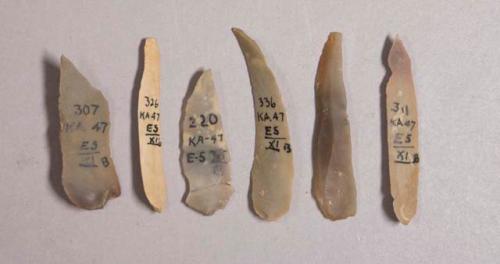 Flint bladelet points; tan and gray colored stone