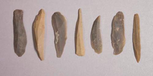 Flint bladelets; mostly points; variously colored stone