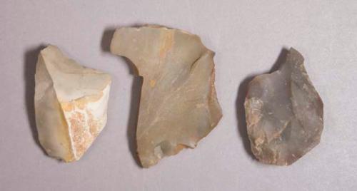 Flint flakes; ten with cortex; variously colored stone