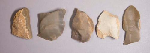 Flint flakes; ten with cortex; variously colored stone