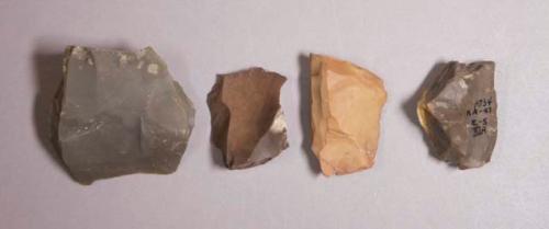 Flint flakes; six with cortex; variously colored stone