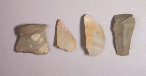 Flint flakes; three with cortex; variously colored stone