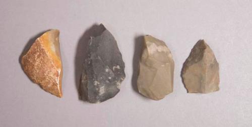 Flint flakes; nine with cortex; variously colored stone