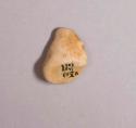 Flint, 1 stone, smooth, irregular shape, tan