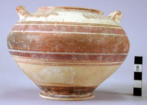 Etrusco-Corinthian pottery ware vase - shape local