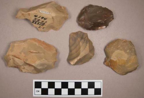 Flint cores, including brown, tan, grey and cream colored stone, some contain cortex