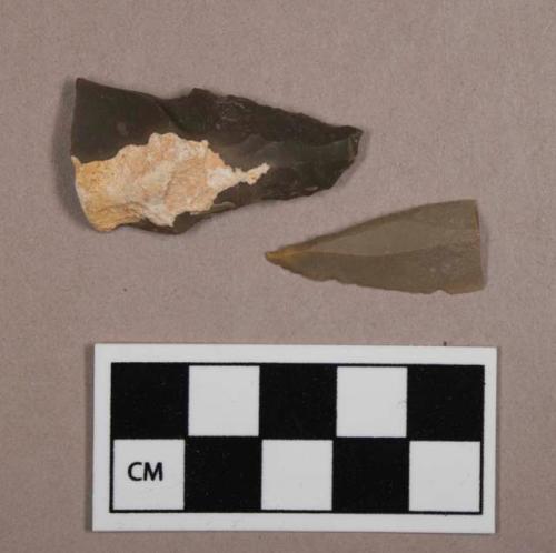 Flint blades, including grey and tan colored stone, one contains cortex