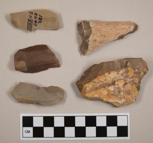 Pointed flint flakes; three with cortex; variously colored stone