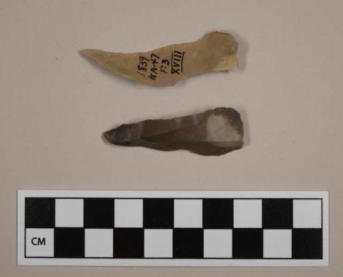 Flint blades; Ksar Akil points; cream and black colored stone