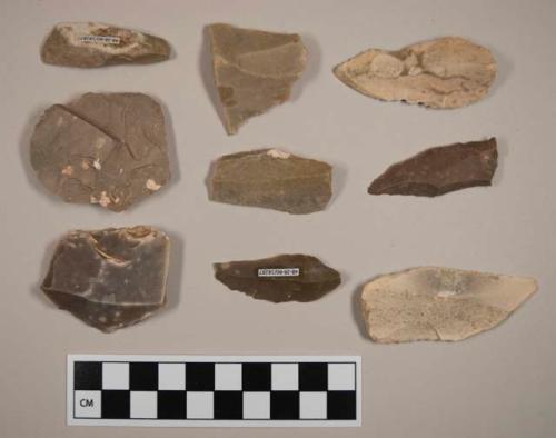 Flint flakes and blades; gray, brown, and cream-colored stone