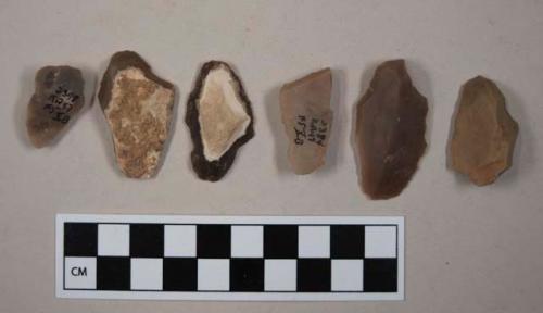 Flint flakes and blades; one with cortex; tan, gray and black-colored stone