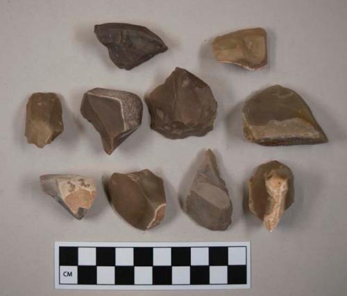 Flint flakes; carinated scraper and or possible core fragments; six with cortex; brown and tan-colored stone