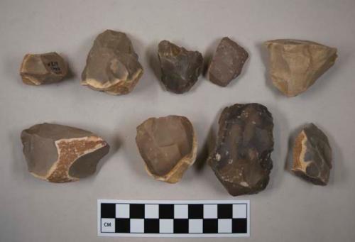 Flint flakes; six with cortex; gray, brown, and tan-colored stone