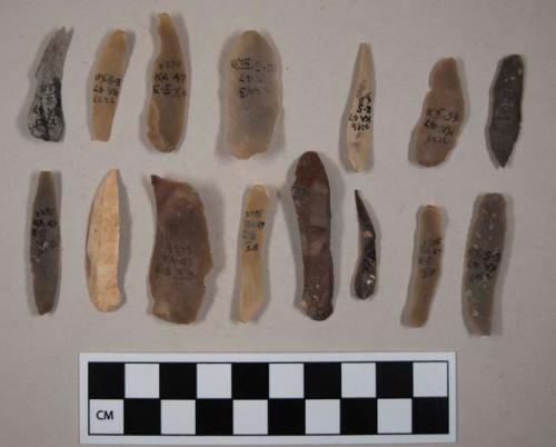 Flint bladelets;some with cortex; variously-colored stone