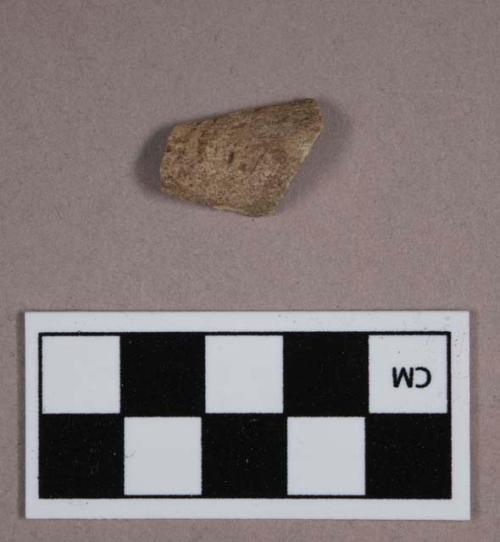 Animal bone fragment, faunal remain