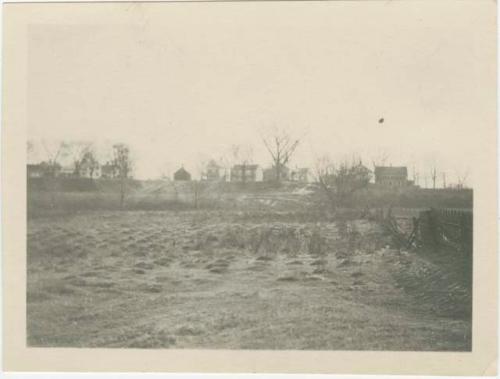 Corn Field In Northampton, Massachusetts