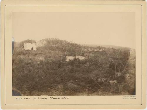 Uxmal Landscape